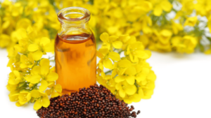 Read more about the article Mustard oil 5 Benefits: In the Winter Season by Ayurveda Expert