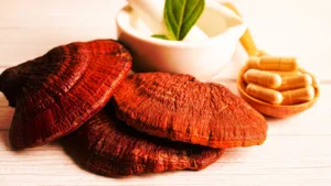 Read more about the article Here’s what a Doctor says about Reishi mushrooms boosting sexual drive